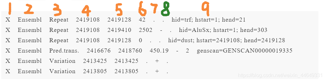 GTF/GFF文件格式解读和转换_注释基因组文件如何看-CSDN博客