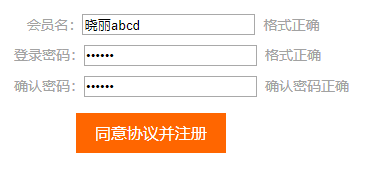 表单填写正确效果