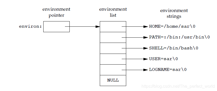 environment of consisting five C character strings