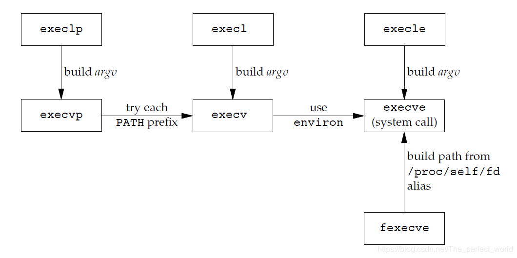 relationship of the seven exec functions 