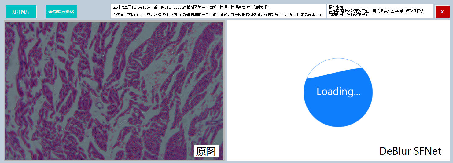 基于Tensorflow与C#开发一款桌面端DeBlur SFNet去模糊软件