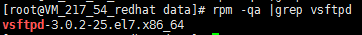rpm -qa |grep vsftpd