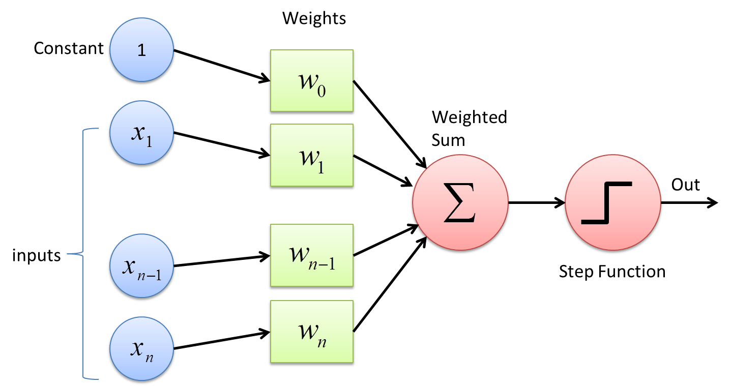 perceptron