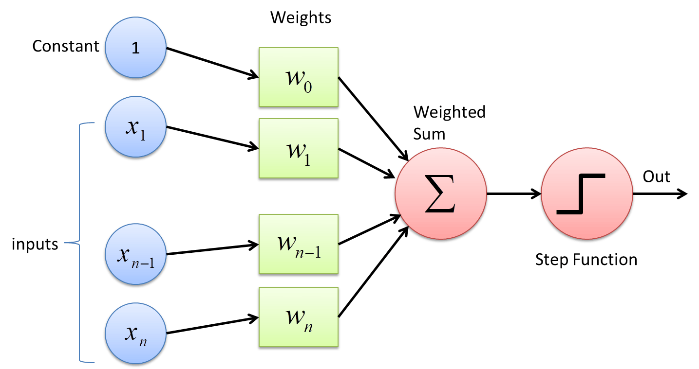 perceptron