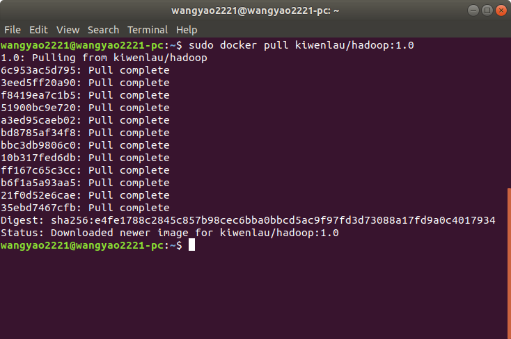 sudo docker pull kiwenlau/hadoop:1.0