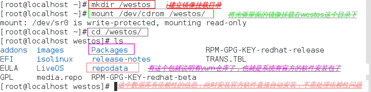 linux中的软件管理（包括配置本地yum源、配置共享yum源、第三方仓库的搭建、yum命令、rpm命令）