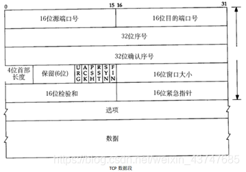 TCP数据段