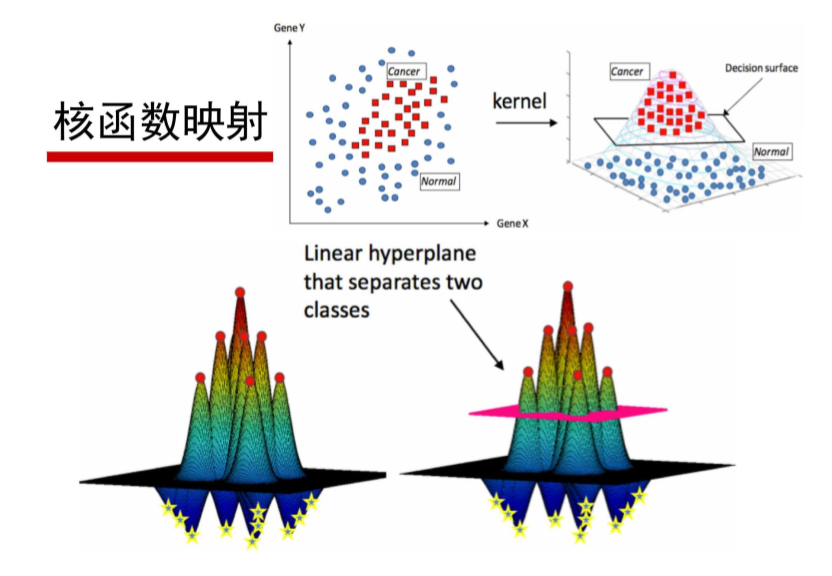 老卫带你学---SVM支持向量机