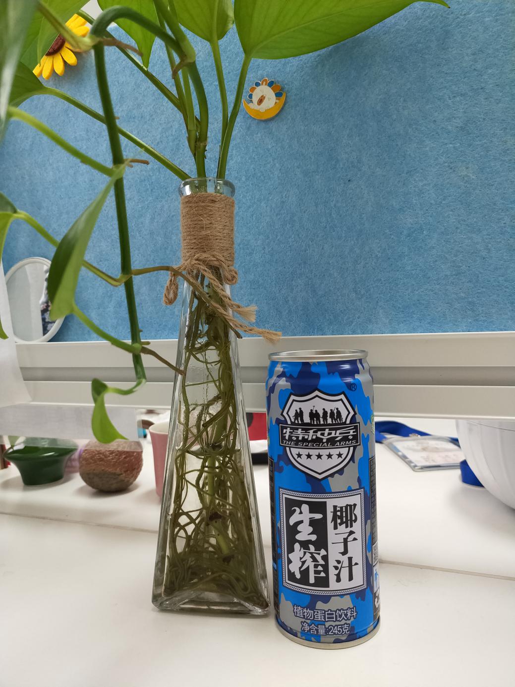 喝点美味的植物蛋白饮品 让你拥有一个好心情