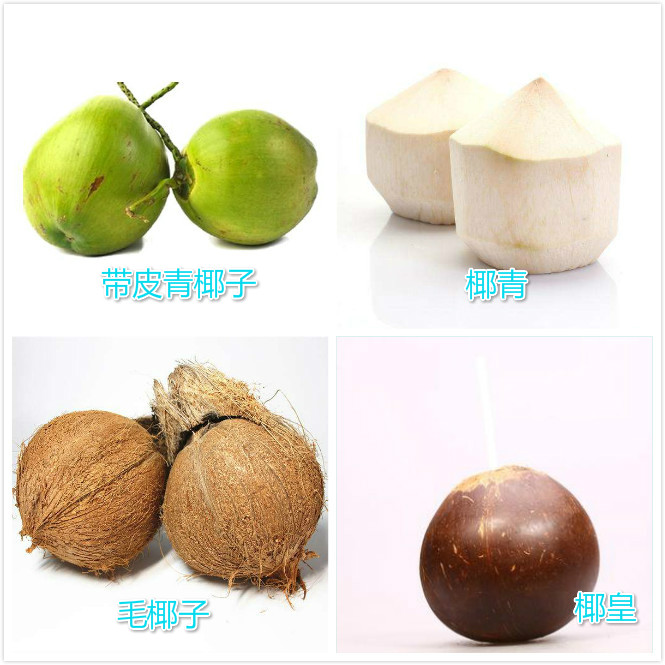 首先来介绍一下椰子的种类,在菜市场或者超市里,大家都能看到形色各异