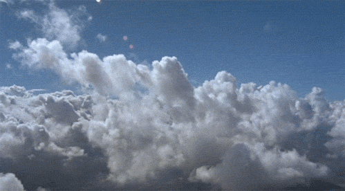 499_276gif 动态图 动图