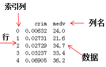 Pandas入门教程