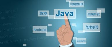 小猿圈提供的热门开发课程有JavaEE+分布式开发、全栈HTML5+、Python人工智能、Linux等。官网网址：https://www.apeland.cn/