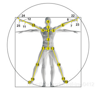 骨架关节的配置