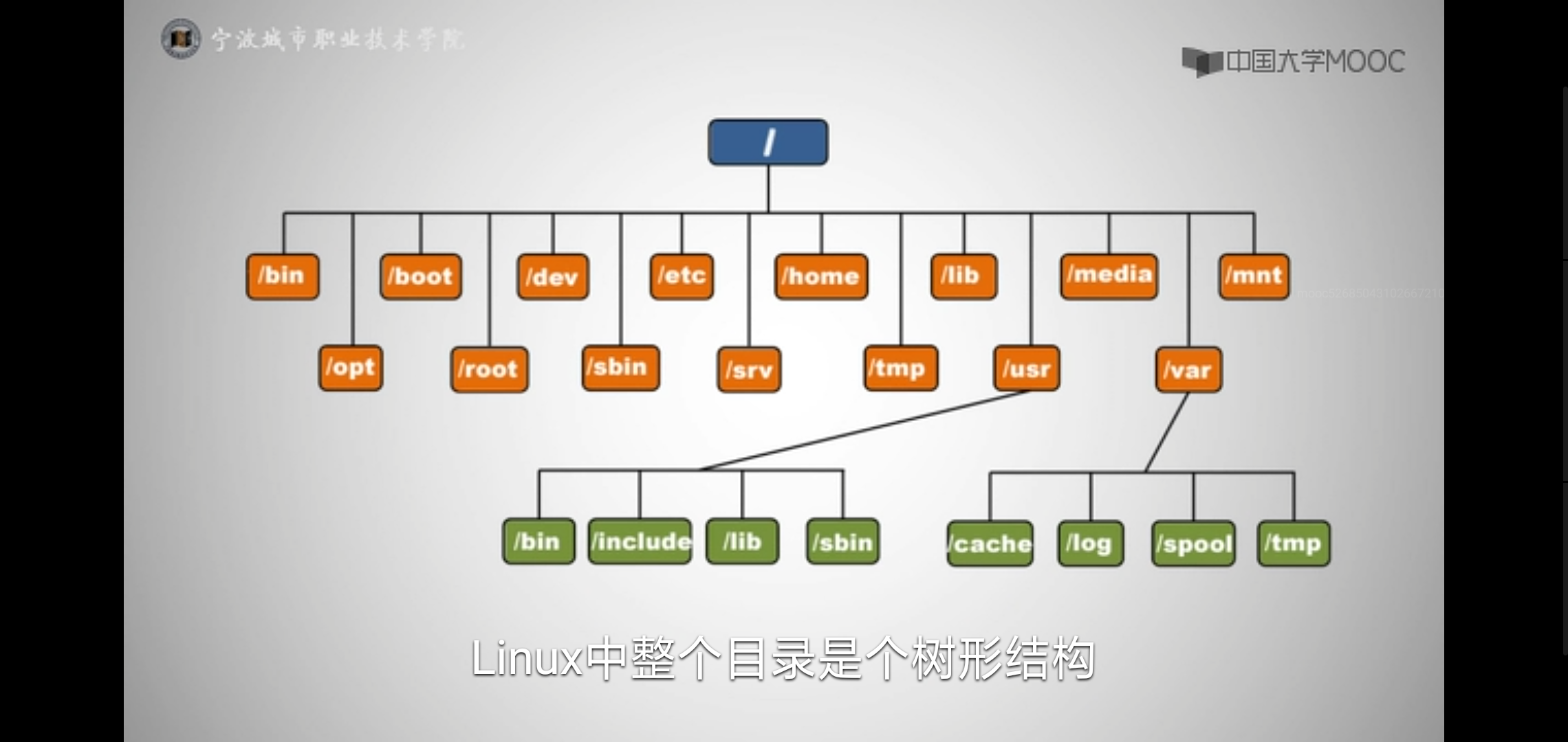 建立一台虚拟机并安装linux系统