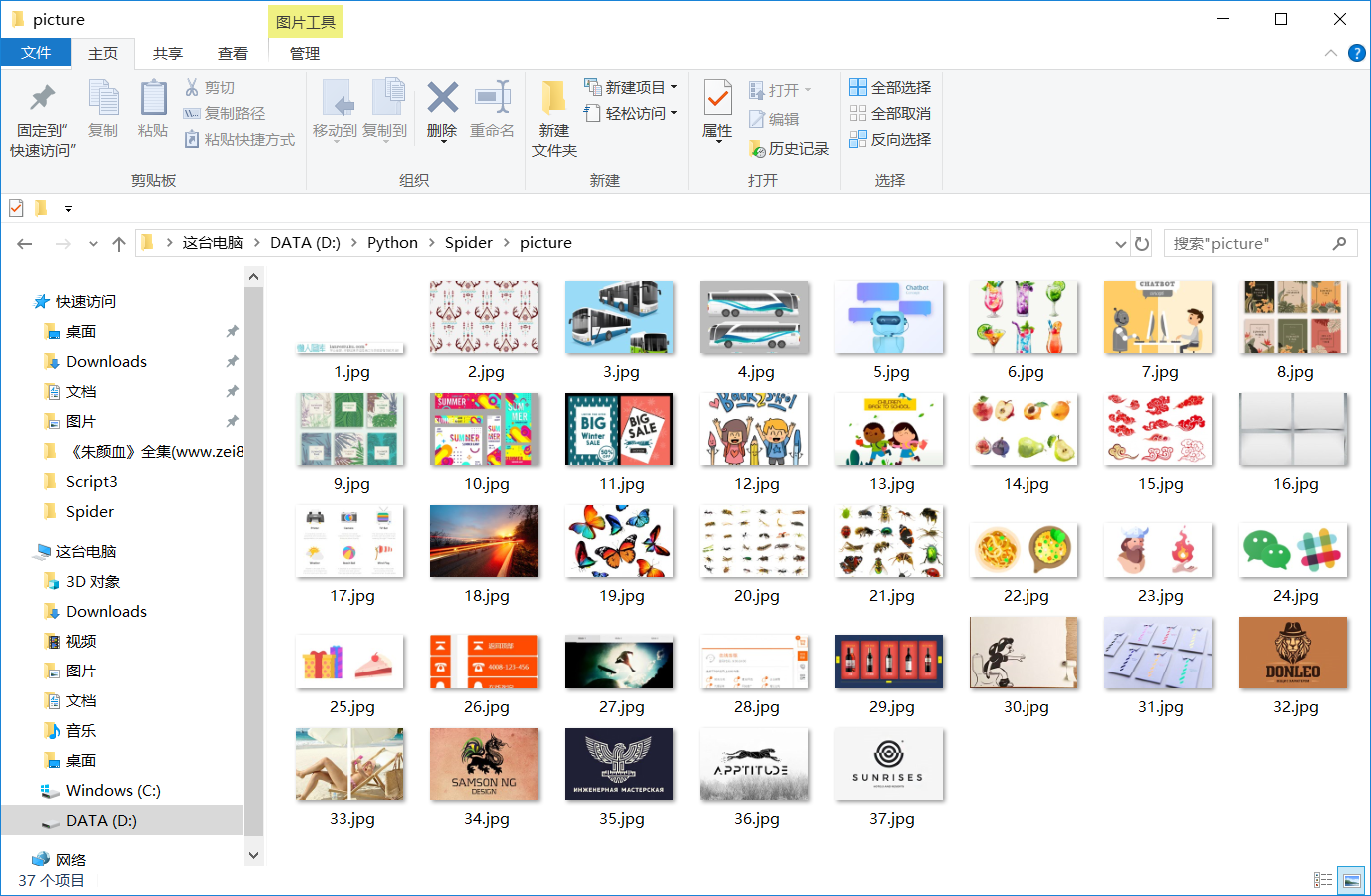 简单python爬虫图片