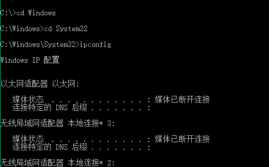 ipconfig1