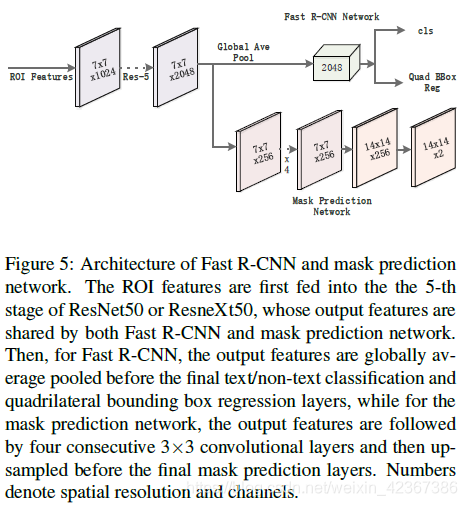 Fast R-CNN & Mask预测网络