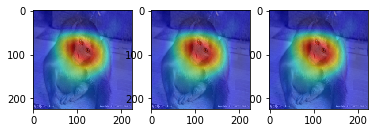 【TensorFlow-windows】keras接口——卷积核可视化