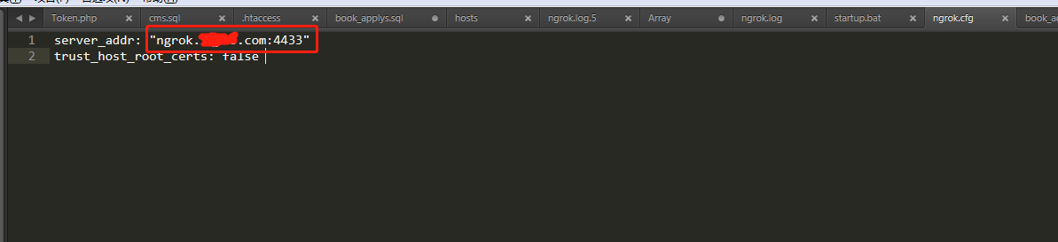 搭建ngrok常见错误_control recovering from failure dial tcp-CSDN博客