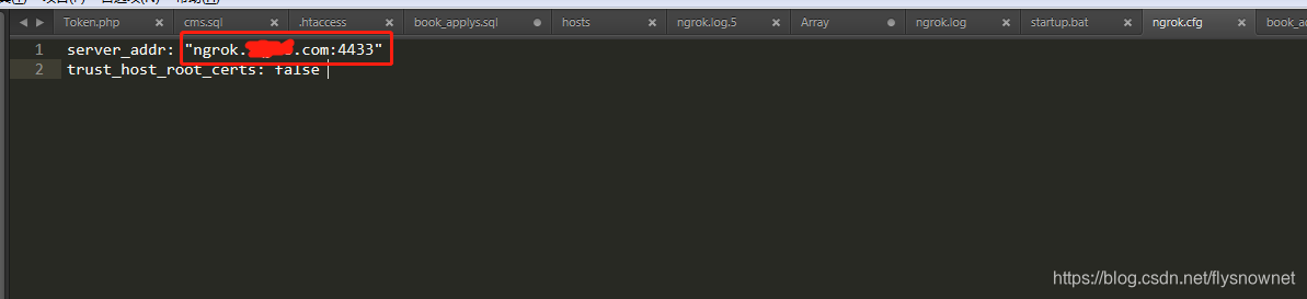搭建ngrok常见错误_control recovering from failure dial tcp-CSDN博客