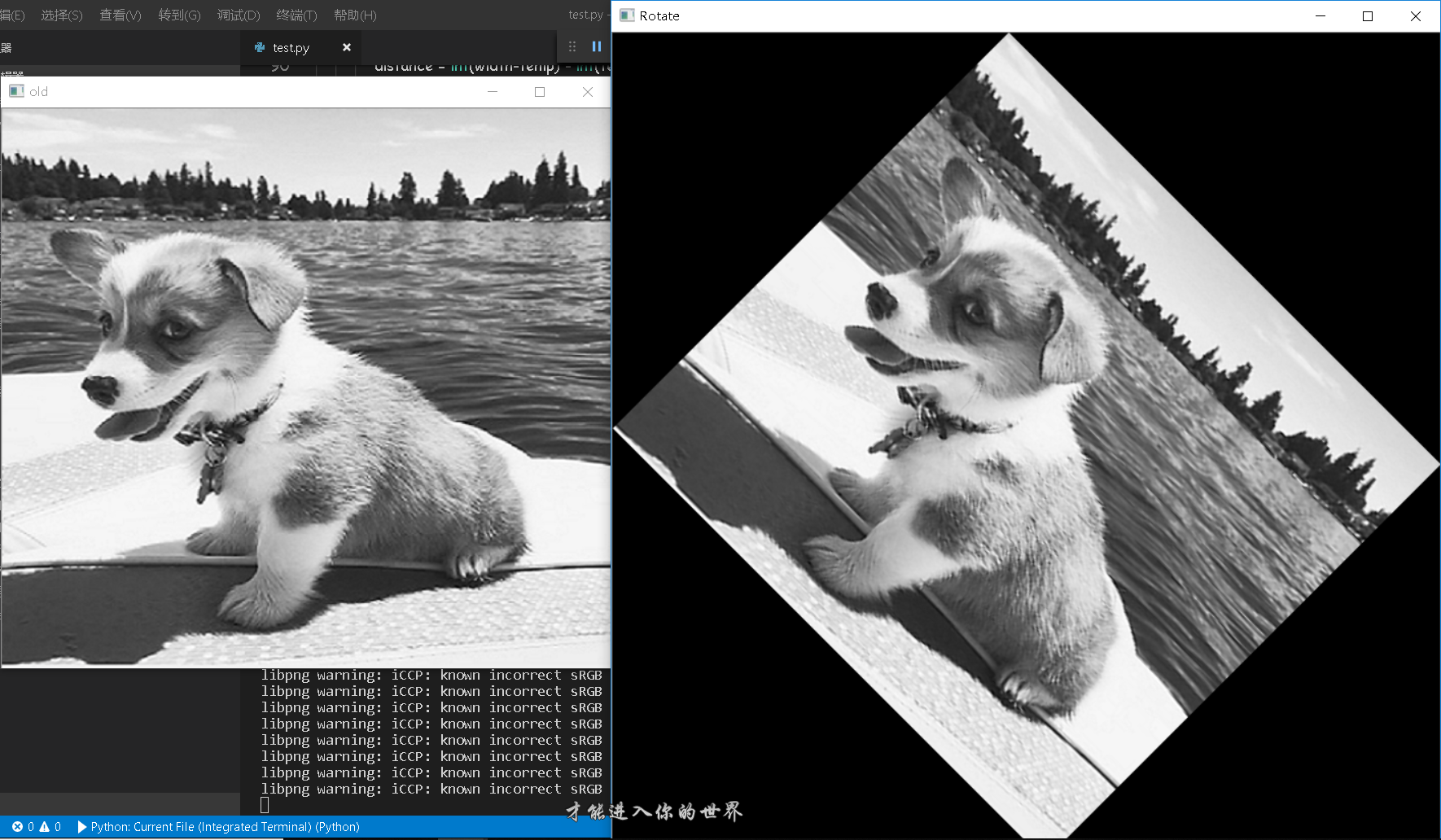 在这里插入图片描述