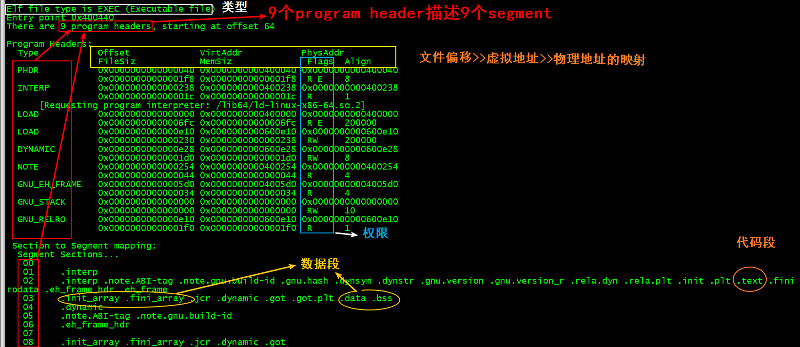 linux进程分析之旅02--可执行文件ELF格式分析_elf程序分析-CSDN博客