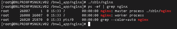 启动nginx