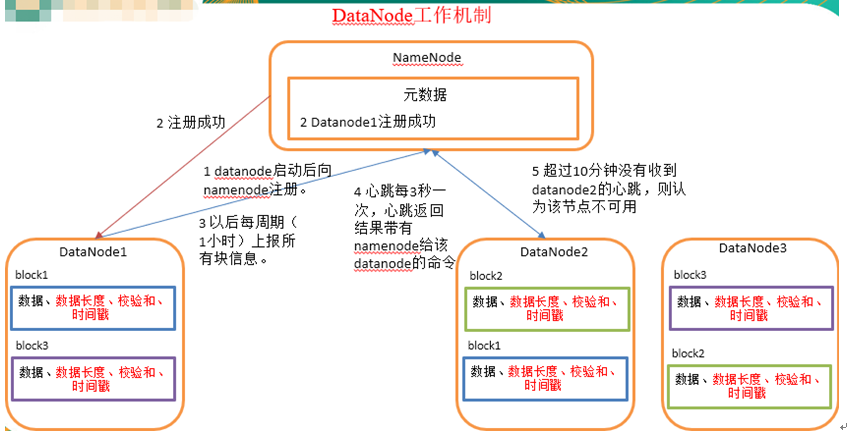 Hdfs 十 Datanode工作机制 极客分享