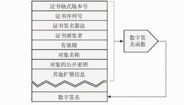 数字证书内容