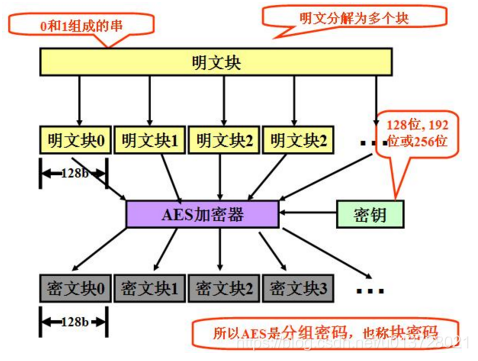 ここに画像を挿入説明