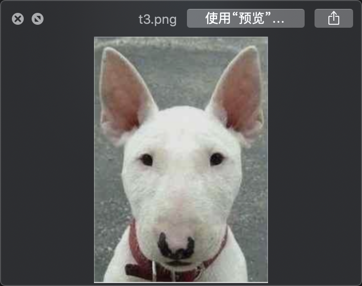 cv2.imread 和PIL中的image.open图片显示区别 格式互相转换_pil.image.openCSDN博客