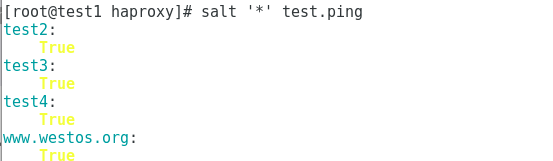 saltstack实现haproxy+keepalived负载均衡+高可用(二)