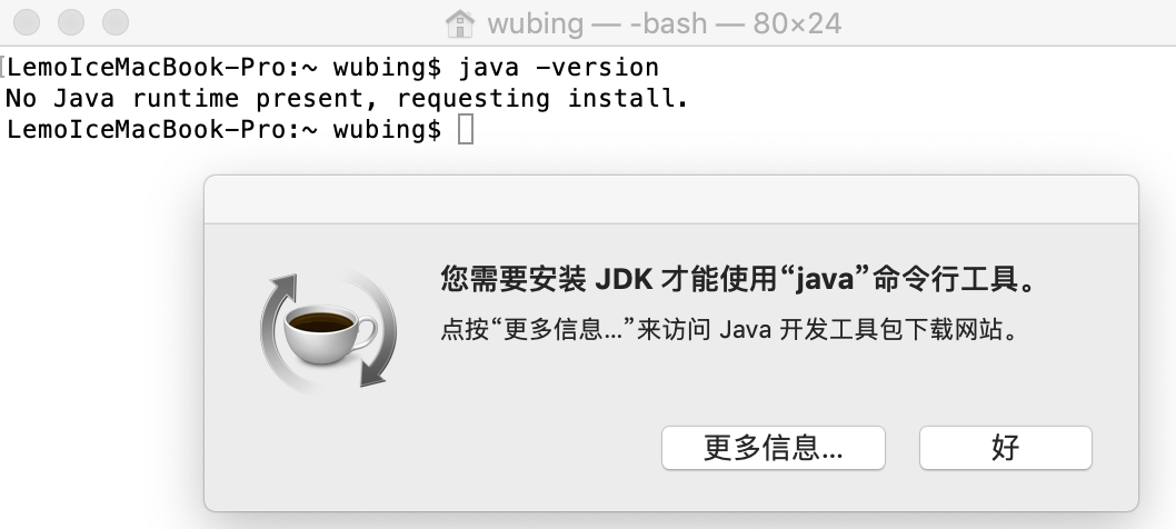 未安装java jdk