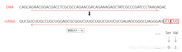 csdn