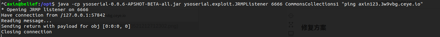 Cve 2018 3191 