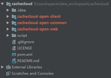 cachecloud struct