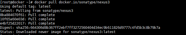 Docker 搭建Nexus