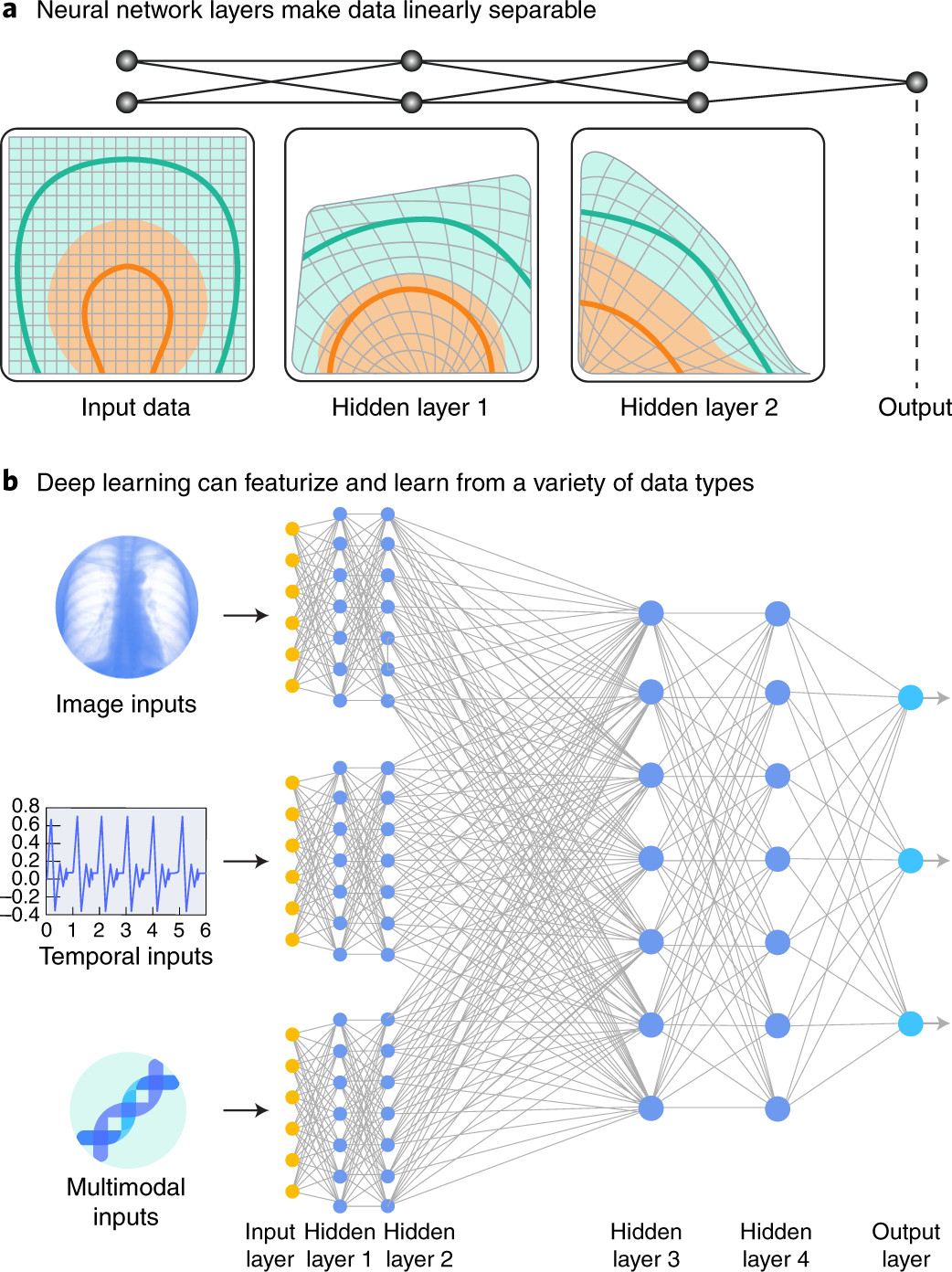 图1 DeepLearning. a, 一个简单的多层深度神经网络接受两类数据，用不同的颜色表示，当数据从一层流向另一层时，通过不断迭代地扭曲数据，使它们线性可分。最后一个输出层作为分类器，输出其中一个类的概率。这个例子说明了大型网络使用的基本概念。经同意改编的概念图来自：http://colah.github.io/. b, 例如，大型网络接受各种数据类型(图像、时间序列等)作为输入，并为每种数据类型在其低层塔中学习有用的特性。然后，来自每个塔的数据被合并并流经更高的级别，从而允许DNN跨数据类型执行推理——这一功能在医疗保健中越来越重要。