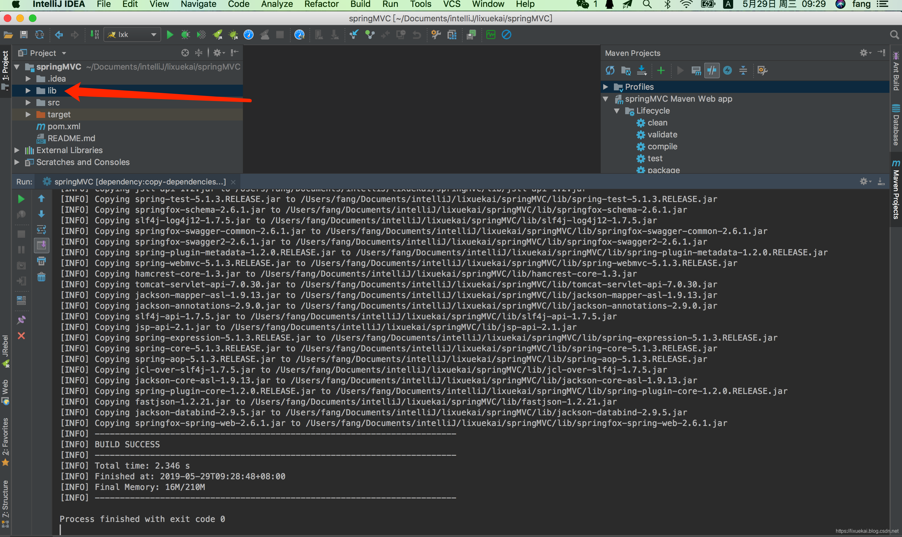 The file names of Java projects in IntelliJ IDEA are all red ...