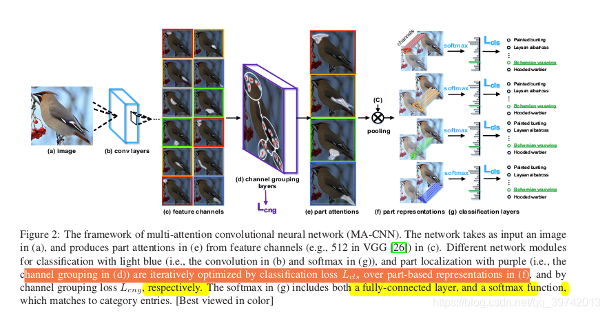 Multi-Attention Convolutional Network笔记