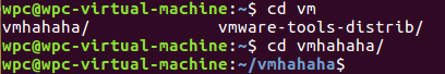 cd vmhahaha运行结果