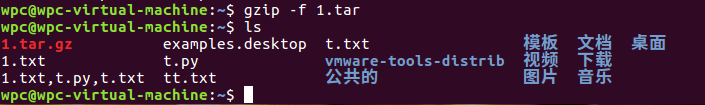 gzip应用