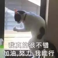 加油