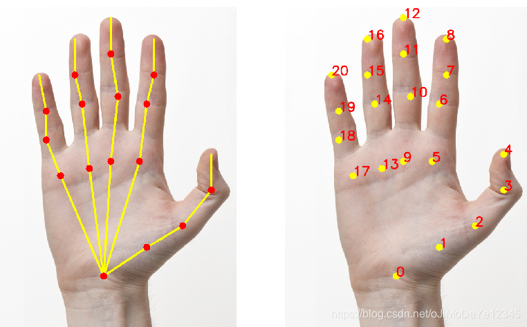 Openpose Hand Keypoints OpenPose 基于OpenCV DNN 的手部关键点检测_openpose手部关键点识别-CSDN博客