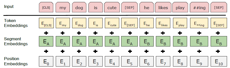 Bert input representation