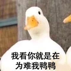 求网站表情包 20190531110455412.png