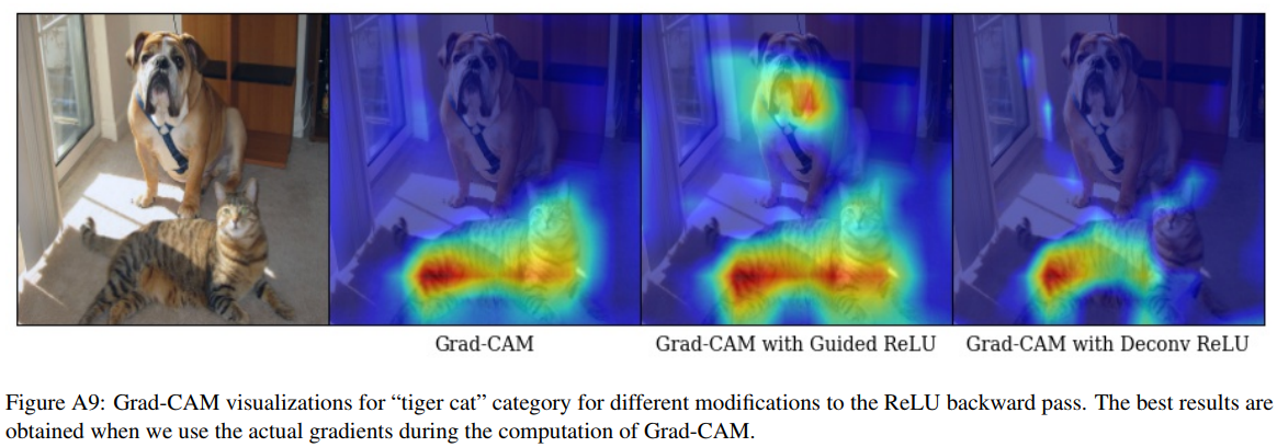 【阅读笔记】《Grad-CAM: Why did you say that? ...》