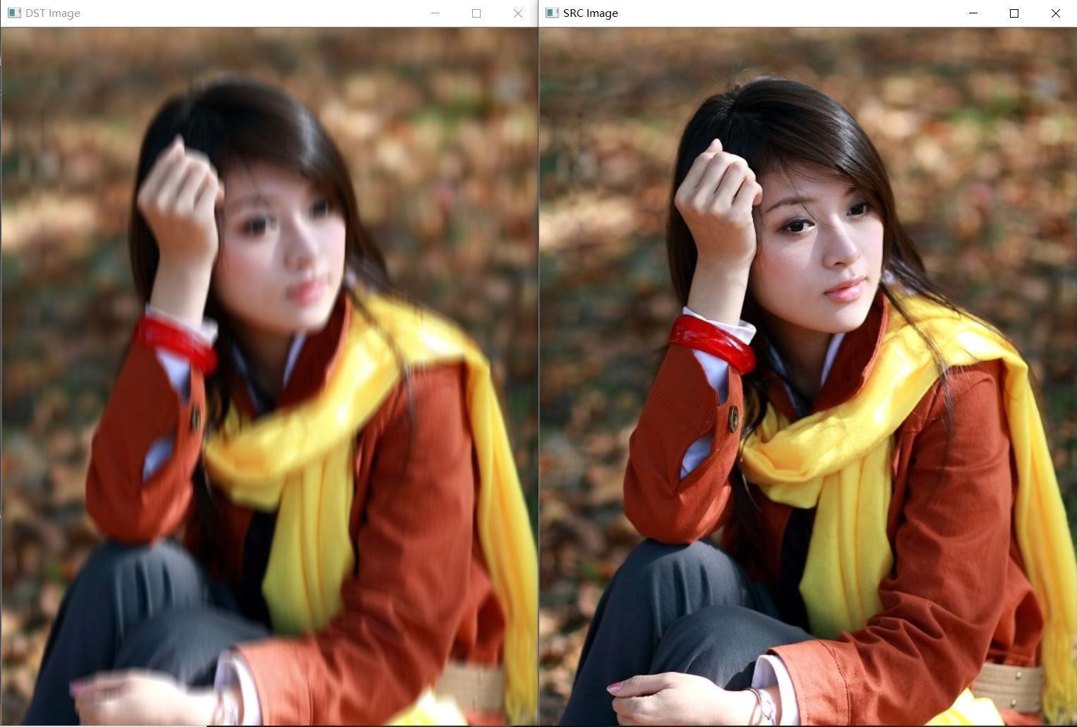 opencvsharp学习笔记8图像的模糊处理1滤波