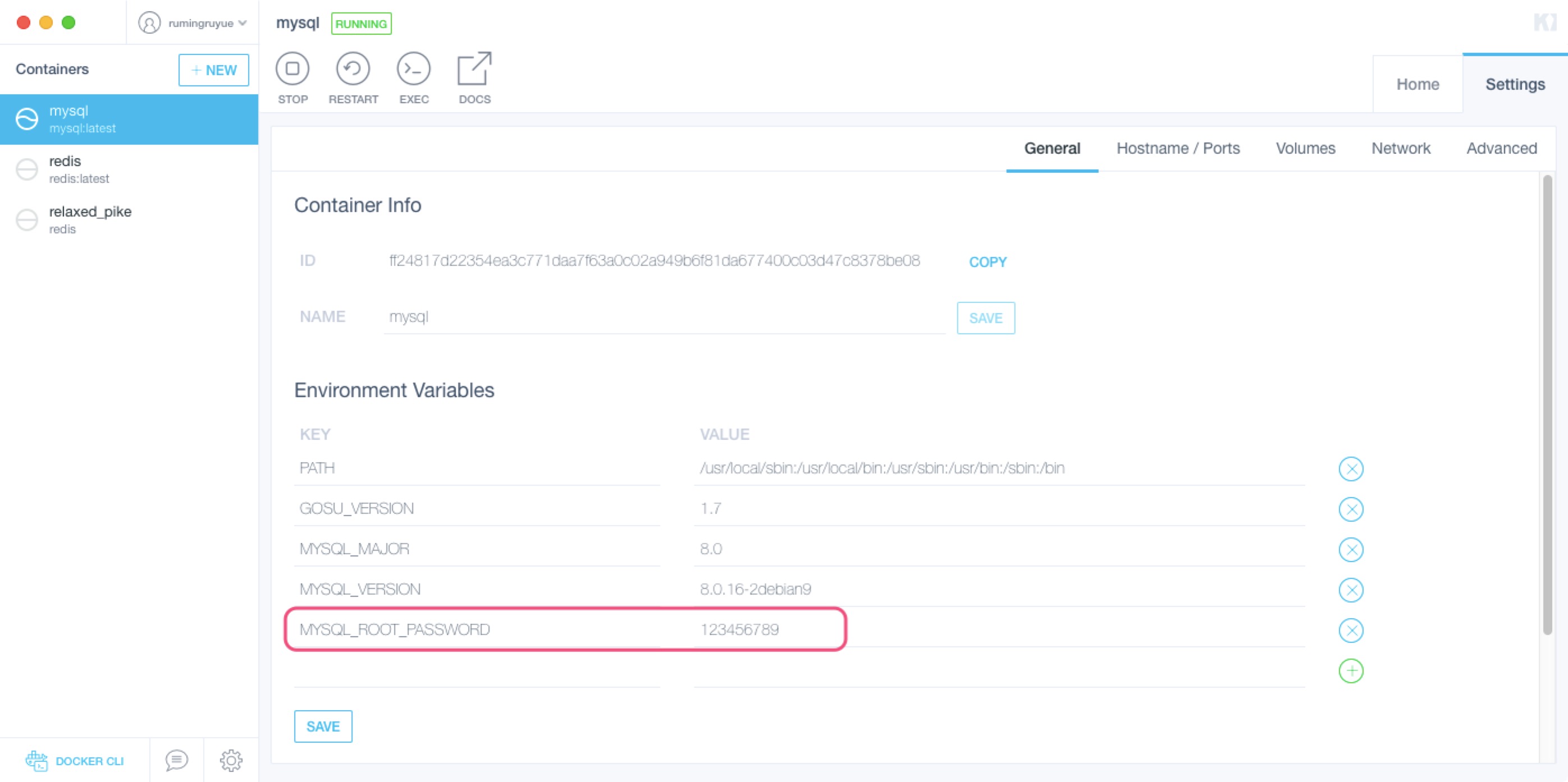 docker mysql root password